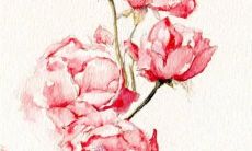 属龙的2022年全年运势运程