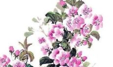 84年属鼠人38岁有一灾 是真是假