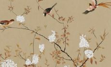 兔本命年适合戴啥