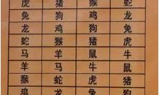 几月份的蛇可以跟虎配 蛇和虎可以结合吗