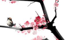 属牛的2022年财运方向 属牛2022年财位在哪