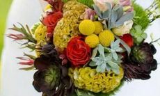 火象星座区别一览表