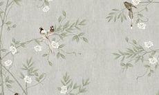 属蛇在2023年全年运势