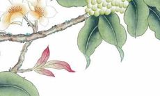 2022年属蛇的犯太岁