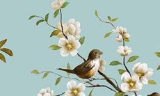 属蛇女2023子女缘