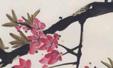 2023年属龙女的命运详解