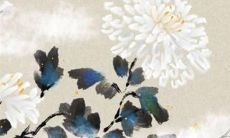 2022年属兔男48的全年运势