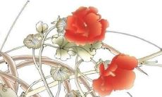 属兔2023年属兔贵人方位