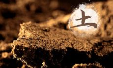 土命为什么会缺金？常见的补金的方法推荐