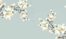 本命年农历六月兔