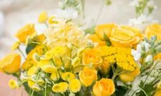 男金牛座三区和女处女座一区配对