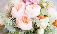 星座里最不甘平庸