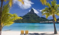 猴和羊相配婚姻如何 猴和羊相克相冲吗