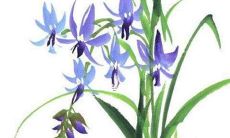 2022年属马人的求财方向 属马人虎年的求财方向在哪