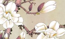 属牛2022年财运方位 在哪里求财最好