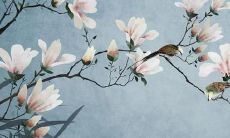 2022虎年生肖鸡的运势