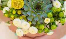 双鱼座的正缘与孽缘星座