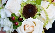 星座配对 双鱼座和什么星座不合