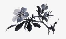 65年蛇人2022年每月运势