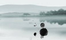 虎年出生的女孩取什么小名