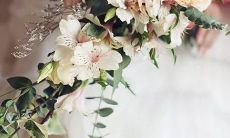 男水瓶双鱼座和女狮子座一区配对