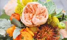 十二星座的寓意是什么意思