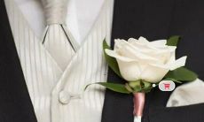 天秤座与水瓶座配对