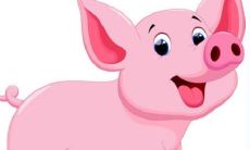 83年属猪五行属什么命 83年属猪的婚配