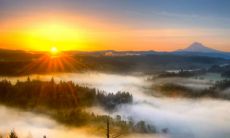 属牛的幸运颜色 属牛会有几段婚姻