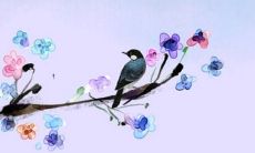 2022年为什么是金虎 2022年虎宝宝一生运势如何