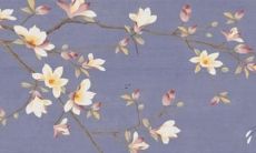 2022年属龙大忌颜色 属龙人2022年忌讳什么颜色