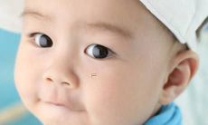 2022年农历6月出生的虎宝宝