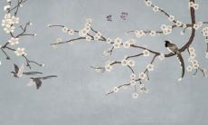 98年属虎女2022适合佩戴什么 哪种饰品适合属虎女