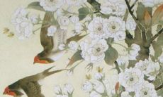 第一运程 2022年属鼠5月运程解析