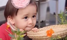 鸡和虎相配婚姻如何 鸡和虎的属相适合做夫妻吗