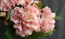 一个人很忙，一个人很闲，渐渐疏远的星座配对