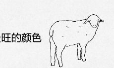 属羊人永远最旺的颜色