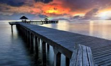 属猪和属牛的合不合 猪和牛做夫妻好不好