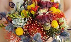 1997年农历九月初三什么星座