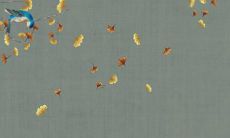 属虎男孩取名字大全集