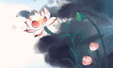 好听的节目名字