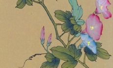 生肖鼠虎年运势2022属蛇运程