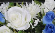 双子座的男生最匹配的星座