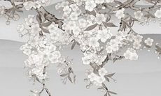 属兔的虎年财运势2022年运程