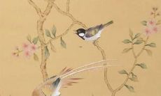 2023年属兔是白色兔吗