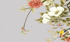 2023属龙幸运颜色