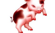 与属猪的最不配的生肖有哪些？