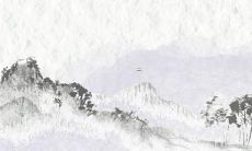 今年5月份出生的宝宝取名大全