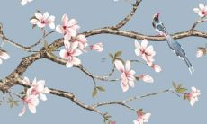 1994年属狗三步大运 1994年属狗人未来哪年行大运