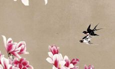 2023年61岁属什么